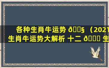 各种生肖牛运势 🐧 （2021生肖牛运势大解析 十二 🐒 生肖）